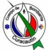 Bomberos-Curacautín-100x100