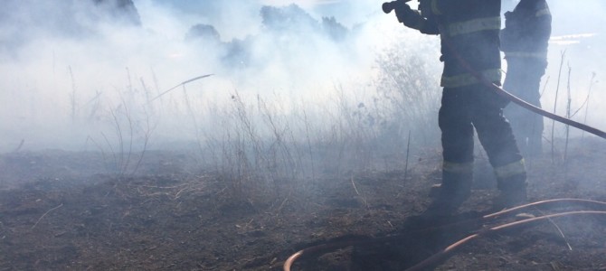Agresivo Incendio de Matorrales cercano a Viviendas sector Focura