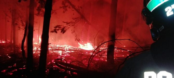 Intensos Trabajos para Responder a Incendios Forestales en la Comuna